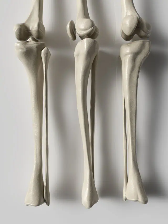 Menopause Joint Pain