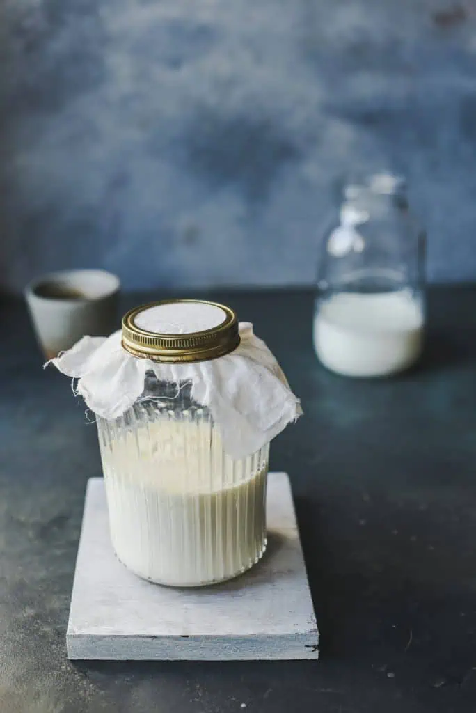 gut health